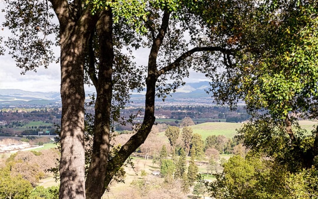 Castlewood Country Club Weddings | Pleasanton Wedding Venue Guide
