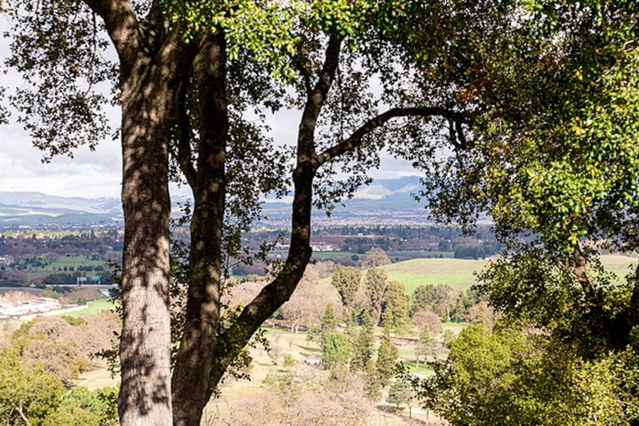 Castlewood Country Club Weddings | Pleasanton Wedding Venue Guide